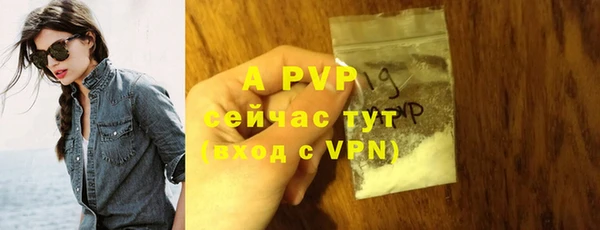 шишки Арсеньев