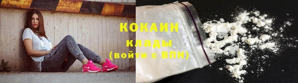 шишки Арсеньев