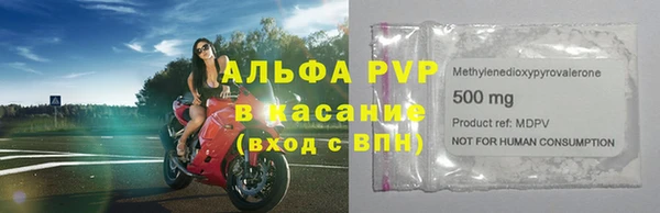 шишки Арсеньев