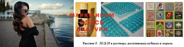 шишки Арсеньев