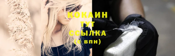шишки Арсеньев