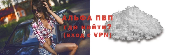 шишки Арсеньев