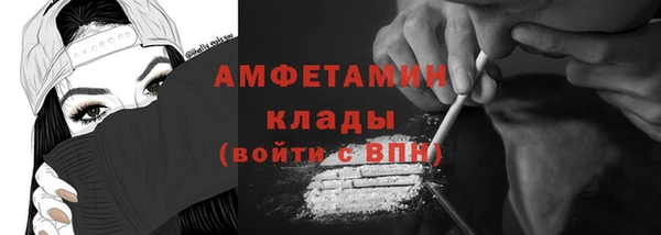 шишки Арсеньев