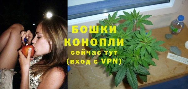 шишки Арсеньев