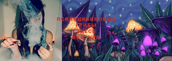 шишки Арсеньев