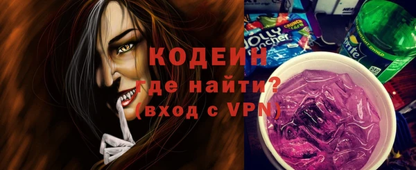 молекула духа Костерёво