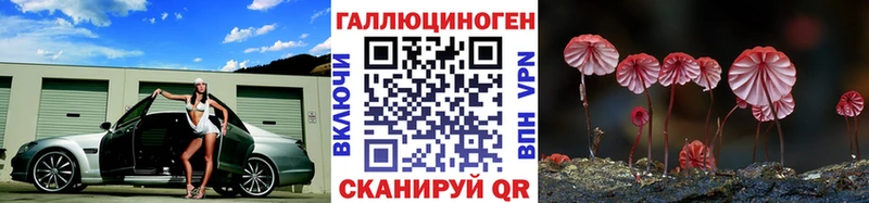 Псилоцибиновые грибы Psilocybine cubensis Бабаево